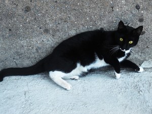 20120723032355-dscn8505