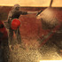 20120723151153-img_6792__1_