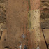 20120723153127-pab-olympic-2