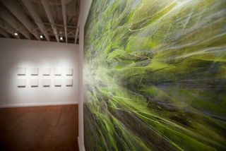 ,Lynne Golob Gelfman