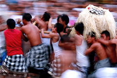 20120724180538-3_-_bali_carrying_ancestor_s_ashes_-_mark_magdison