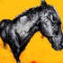 20120724203036-horse