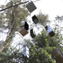 20120725192824-forest_herm-many_still7