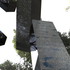 20120725193320-forest_herm-many_still11