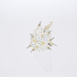 20120726162744-spiniumcoccum_72