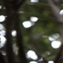 20120726180205-from_birthdeath_1