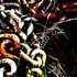 20120726180400-from_ropes_and_chains