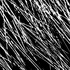 20120726180604-from_singing_marram_2
