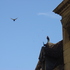 20120726182640-7-14-05_129