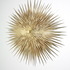 20120726203330-golden_sun_no