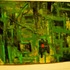 20120728022743-amazon_jungle
