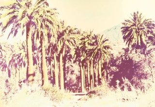 Landschaft #12 ,Michael Pfisterer