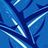 20120728082541-bluedolphins4000x3067