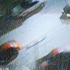 Tv_car_chase__4