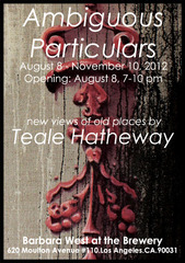 Ambiguous Particulars,Teale Hatheway