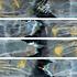 20120729015536-ward_series_336_all_panels_horiz