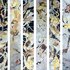 20120729020025-web_ward_series326_all_vertical