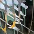 20120729024515-ward_series_336_z_details_09