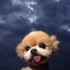 20120729025510-1