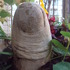 20120730013913-mayo10_010