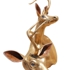 Golden2headed6ocular4auditoryunihorns