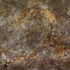 20120730213755-dirty_snake_1