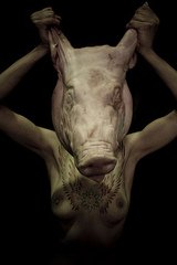 Protean Flesh,Alexandra Gibson