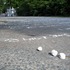 20120802105423-anna_t_strassenmalkreide_2012