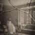 20120802131639-oiseaux_22_web_final_feb_2012