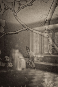 20120802131639-oiseaux_22_web_final_feb_2012