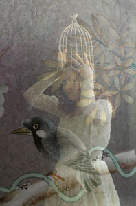 20120802133042-oiseaux_16_web_final_feb_2012