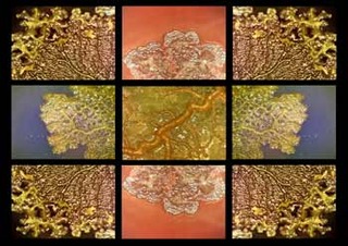 video still from Hydraphelia,Gail Wight