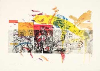 Resurrection Etching,Joan Snyder