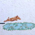 20120803210609-pigleap