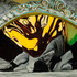 20120803213013-sarah_ratchye__preshr__oil_on_canvas__24_22_x_24_22__2011
