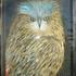 20120803214600-the_owl_v