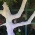 20120804004123-imag0299-2