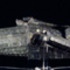 20120804050243-jaded_princess_artleaue_copy