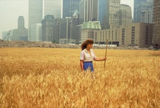  Wheatfield – A Confrontation: Battery Park Landfill, Downtown Manhattan ,Agnes Denes