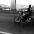 20120806094502-lyonmain