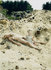 Sand