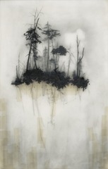 Reflection,Brooks Salzwedel