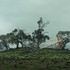 20120807024425-laing_2012_a_1