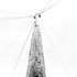 20120807092822-dsc_1435_copy