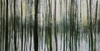 20120808004922-barbara_postkarte_vorne_august2012250px