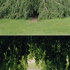 Treetree_dorit_sm