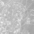 20120808131743-gle_mm_zi_4