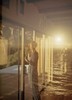 20120808165633-cliona_and_the_sea__south_africa_2012_-_joss_mckinley_topcarousselportrait