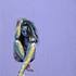 20120808180019-wade_9