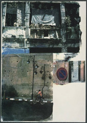,Robert Rauschenberg
